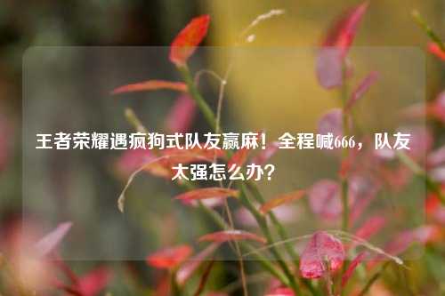 王者荣耀遇疯狗式队友赢麻！全程喊666，队友太强怎么办？