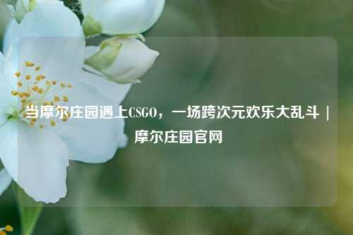 当摩尔庄园遇上CSGO，一场跨次元欢乐大乱斗 | 摩尔庄园官网