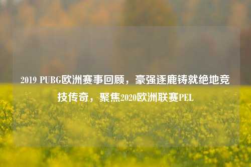 2019 PUBG欧洲赛事回顾，豪强逐鹿铸就绝地竞技传奇，聚焦2020欧洲联赛PEL