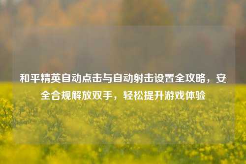 和平精英自动点击与自动射击设置全攻略，安全合规解放双手，轻松提升游戏体验