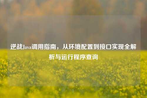 逆战Java调用指南，从环境配置到接口实现全解析与运行程序查询