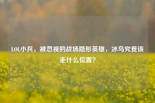LOL小兵，被忽视的战场隐形英雄，冰鸟究竟该走什么位置？
