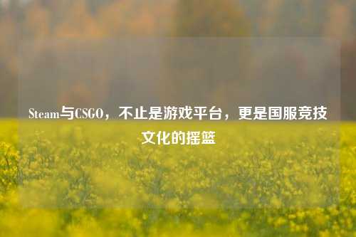 Steam与CSGO，不止是游戏平台，更是国服竞技文化的摇篮