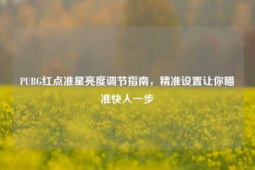 PUBG红点准星亮度调节指南，精准设置让你瞄准快人一步