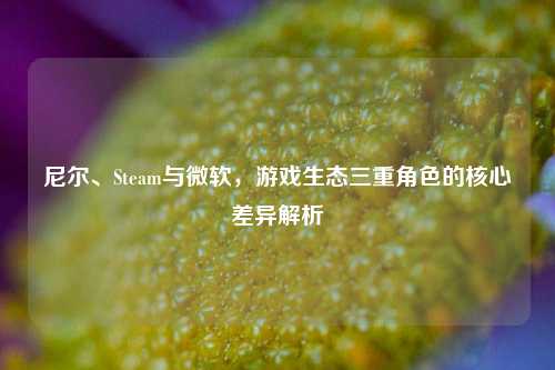 尼尔、Steam与微软，游戏生态三重角色的核心差异解析