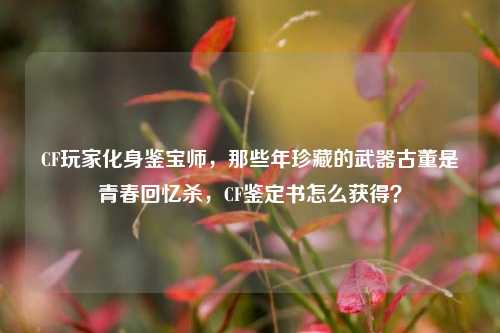 CF玩家化身鉴宝师，那些年珍藏的武器古董是青春回忆杀，CF鉴定书怎么获得？