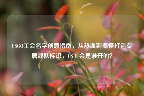 CSGO工会名字创意指南，从热血到搞怪打造专属战队标识，CS工会是谁开的？