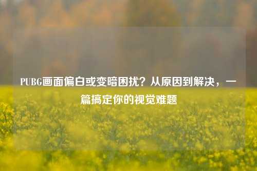 PUBG画面偏白或变暗困扰？从原因到解决，一篇搞定你的视觉难题