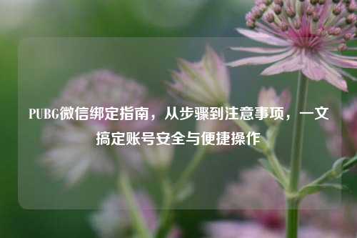 PUBG微信绑定指南，从步骤到注意事项，一文搞定账号安全与便捷操作