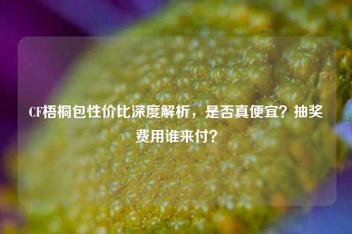 CF梧桐包性价比深度解析，是否真便宜？抽奖费用谁来付？