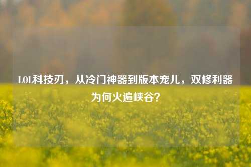 LOL科技刃，从冷门神器到版本宠儿，双修利器为何火遍峡谷？