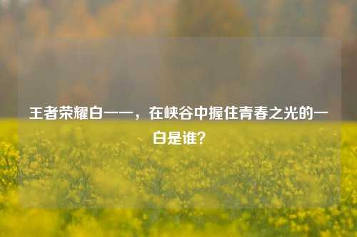 王者荣耀白一一，在峡谷中握住青春之光的一白是谁？