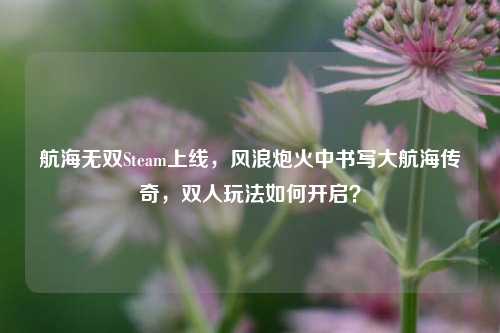 航海无双Steam上线，风浪炮火中书写大航海传奇，双人玩法如何开启？
