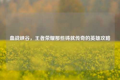 血战峡谷，王者荣耀那些铸就传奇的英雄攻略