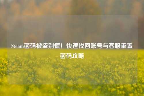 Steam密码被盗别慌！快速找回账号与 *** 重置密码攻略