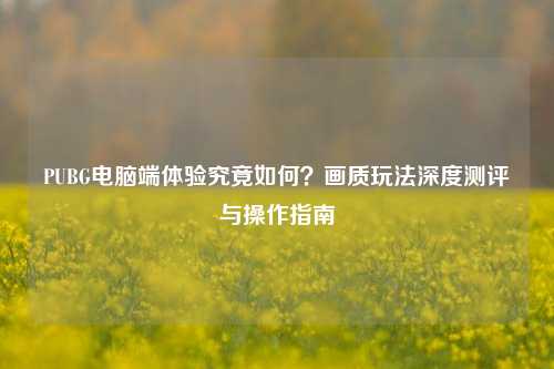 PUBG电脑端体验究竟如何？画质玩法深度测评与操作指南