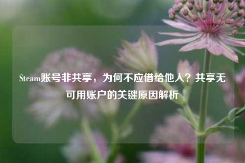 Steam账号非共享，为何不应借给他人？共享无可用账户的关键原因解析