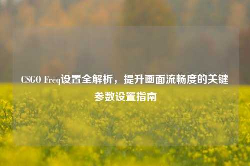 CSGO Freq设置全解析，提升画面流畅度的关键参数设置指南
