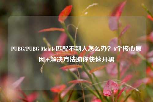 PUBG/PUBG Mobile匹配不到人怎么办？6个核心原因+解决 *** 助你快速开黑