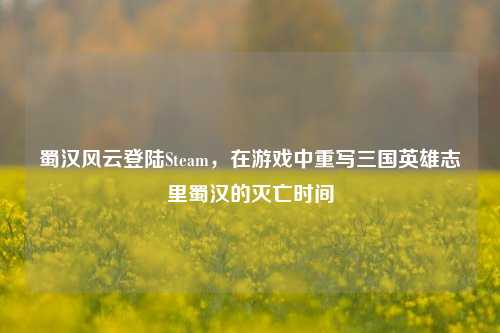 蜀汉风云登陆Steam，在游戏中重写三国英雄志里蜀汉的灭亡时间