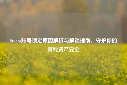 Steam账号锁定原因解析与解锁指南，守护你的游戏资产安全