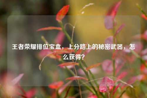 王者荣耀排位宝盒，上分路上的秘密武器，怎么获得？