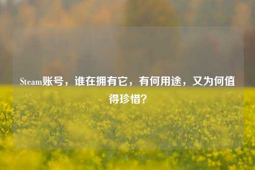 Steam账号，谁在拥有它，有何用途，又为何值得珍惜？