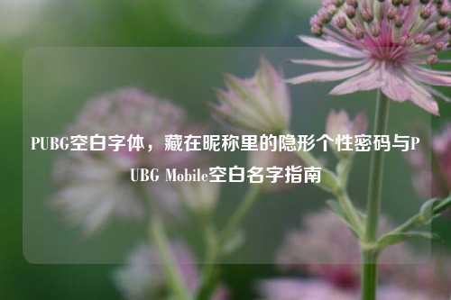 PUBG空白字体，藏在昵称里的隐形个性密码与PUBG Mobile空白名字指南
