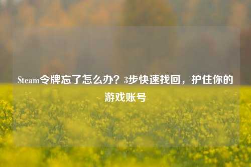 Steam令牌忘了怎么办？3步快速找回，护住你的游戏账号