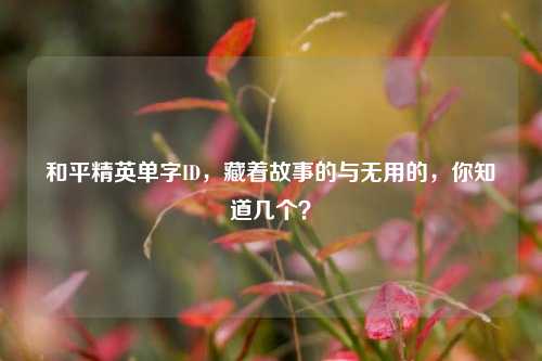 和平精英单字ID，藏着故事的与无用的，你知道几个？