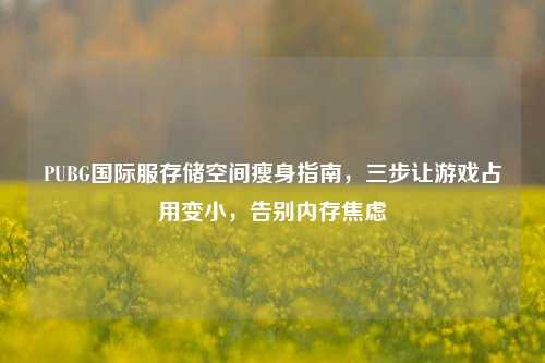 PUBG国际服存储空间瘦身指南，三步让游戏占用变小，告别内存焦虑
