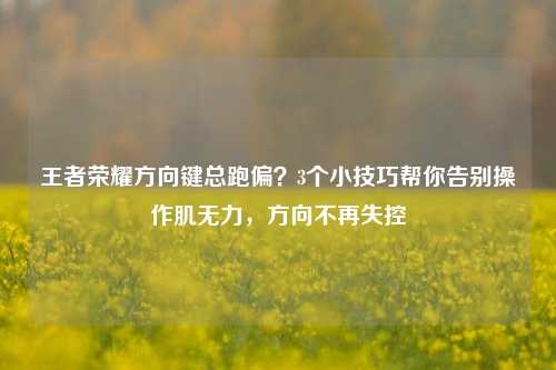 王者荣耀方向键总跑偏？3个小技巧帮你告别操作肌无力，方向不再失控