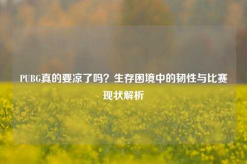 PUBG真的要凉了吗？生存困境中的韧性与比赛现状解析