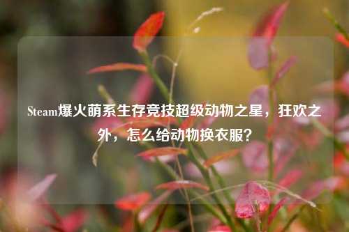 Steam爆火萌系生存竞技超级动物之星，狂欢之外，怎么给动物换衣服？