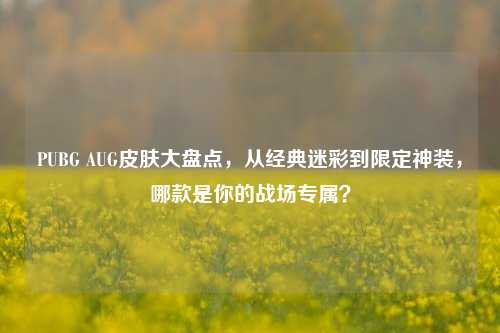 PUBG AUG皮肤大盘点，从经典迷彩到限定神装，哪款是你的战场专属？
