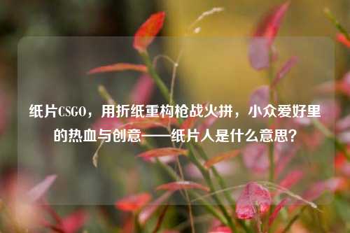 纸片CSGO，用折纸重构枪战火拼，小众爱好里的热血与创意——纸片人是什么意思？