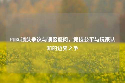 PUBG锁头争议与锁区疑问，竞技公平与玩家认知的边界之争