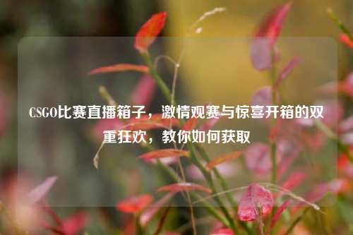 CSGO比赛直播箱子， *** 观赛与惊喜开箱的双重狂欢，教你如何获取
