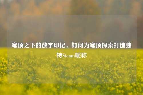 穹顶之下的数字印记，如何为穹顶探索打造独特Steam昵称