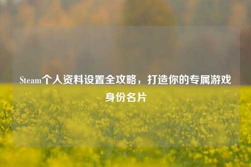 Steam个人资料设置全攻略，打造你的专属游戏身份名片