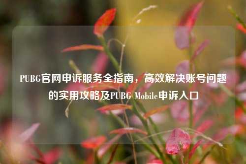 PUBG官网申诉服务全指南，高效解决账号问题的实用攻略及PUBG Mobile申诉入口