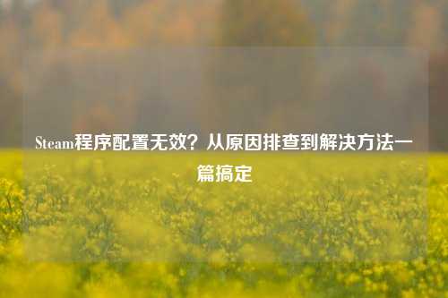 Steam程序配置无效？从原因排查到解决 *** 一篇搞定