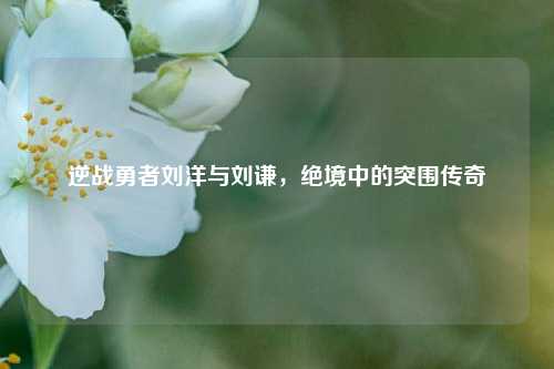 逆战勇者刘洋与刘谦，绝境中的突围传奇