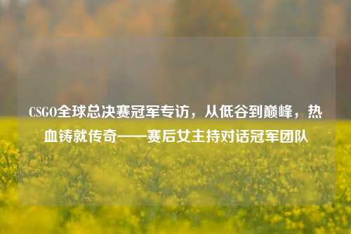 CSGO全球总决赛冠军专访，从低谷到巅峰，热血铸就传奇——赛后女主持对话冠军团队