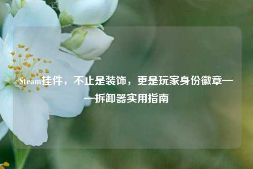 Steam挂件，不止是装饰，更是玩家身份徽章——拆卸器实用指南