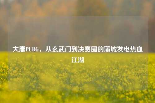 大唐PUBG，从玄武门到决赛圈的蒲城发电热血江湖