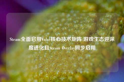 Steam全面启用Valve核心技术矩阵 游戏生态迎深度进化且Steam Overlay同步启用