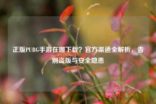正版PUBG手游在哪下载？官方渠道全解析，告别盗版与安全隐患