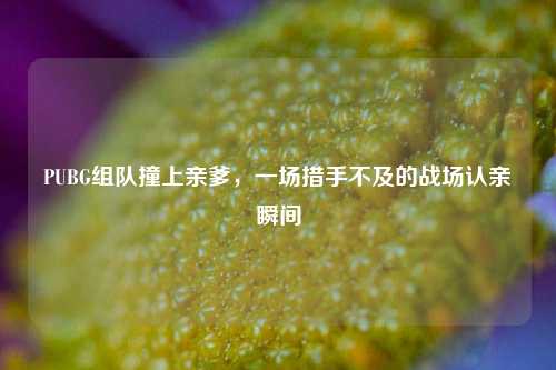 PUBG组队撞上亲爹，一场措手不及的战场认亲瞬间
