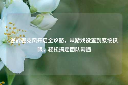 逆战麦克风开启全攻略，从游戏设置到系统权限，轻松搞定团队沟通